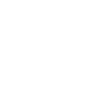 Safetylite IG